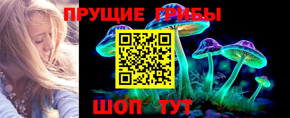 Псилоцибиновые грибы MAGIC MUSHROOMS Алексин